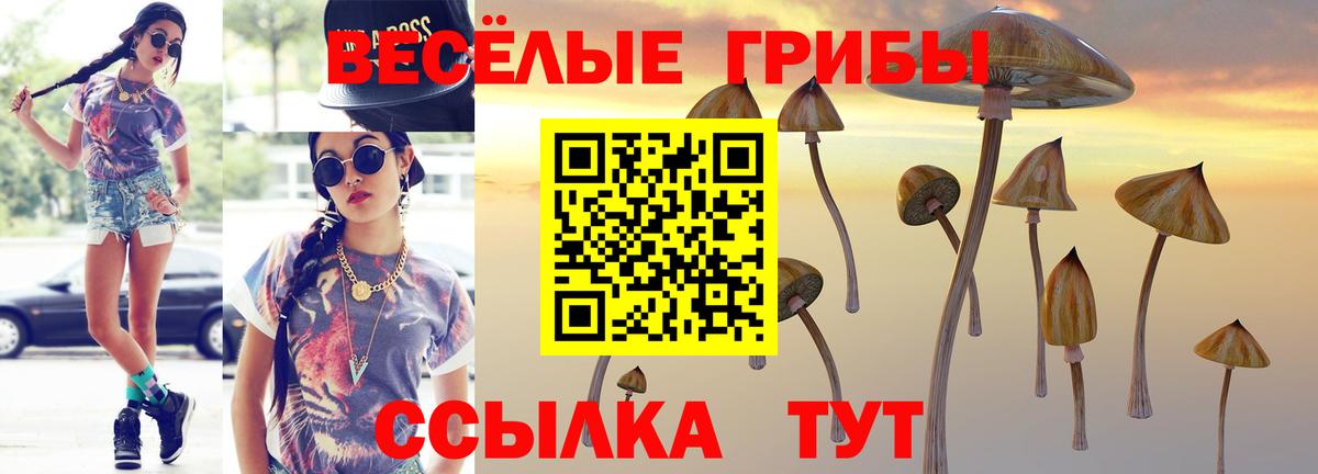Калач-на-Дону  Галлюциногенные грибы Psilocybe  Вход с VPN 